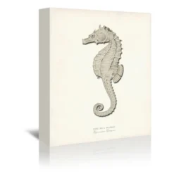 Set Of 3 Canvas Prints Costal Canvas Wall Art Set - Americanflat 9 Set Of 3 Canvas Prints Costal Canvas Wall Art Set - Americanflat -Americanflat GUEST 0be88b83 56a9 43b0 b0bf 49c3ce61a161