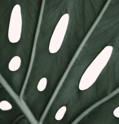 Americanflat 71" X 74" Shower Curtain Style 1 By ArtPrink 4 Americanflat 71" X 74" Shower Curtain Style 1 By ArtPrink - Image 4