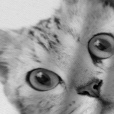 Americanflat 71" X 74" Shower Curtain By NUADA 3 Americanflat 71" X 74" Shower Curtain By NUADA - Image 3