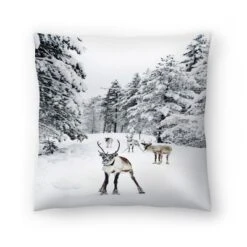 Nature Photo With Moose By Tanya Shumkina Throw Pillow - Americanflat 13 Nature Photo With Moose By Tanya Shumkina Throw Pillow - Americanflat -Americanflat GUEST 2cfb3cf2 3537 42d1 ad55 946bd4becd40
