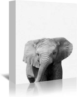 Americanflat Zoo Animals By NUADA 3 Piece Canvas Wall Art Set - Children's Nursery Home Décor