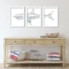 (Set Of 3) Nursery Shark Illustration By Jetty Home Framed Triptych Wall Art Set - Americanflat