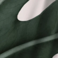 Americanflat 71" X 74" Shower Curtain Style 1 By ArtPrink 13 Americanflat 71" X 74" Shower Curtain Style 1 By ArtPrink -Americanflat GUEST 3907e72e 4cdd 4f2e afc2 0baf34d4c8c6