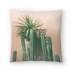 Succulents On Orange By Tanya Shumkina Throw Pillow - Americanflat 12 Succulents On Orange By Tanya Shumkina Throw Pillow - Americanflat -Americanflat GUEST 4bb829e0 8753 408d 9ea9 fc2e7f3e8436