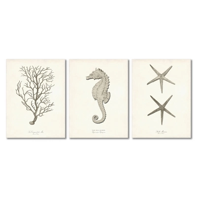 Set Of 3 Canvas Prints Costal Canvas Wall Art Set - Americanflat 7 Set Of 3 Canvas Prints Costal Canvas Wall Art Set - Americanflat - Image 7