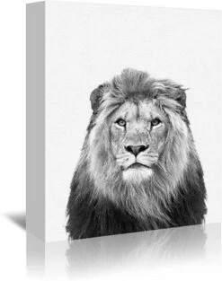 Americanflat Zoo Animals By NUADA 3 Piece Canvas Wall Art Set - Children's Nursery Home Décor -Americanflat GUEST 5645711d a324 4fd5 8852 a0c85a0fcc61