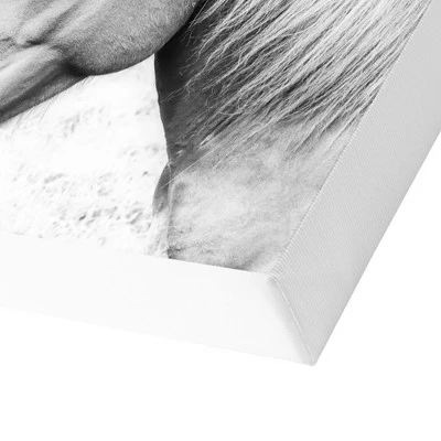 Americanflat Horse Love By Sisi And Seb Unframed Canvas Wall Art 3 Americanflat Horse Love By Sisi And Seb Unframed Canvas Wall Art - Image 3