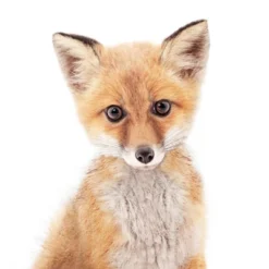 Americanflat Nursery Baby Animals - 8 Piece Square Framed With Mat Gallery Wall Set 14 Americanflat Nursery Baby Animals - 8 Piece Square Framed With Mat Gallery Wall Set -Americanflat GUEST 74ebf71f 03a3 42b3 a616 fe2ad150beee