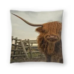 Cow Photo By Tanya Shumkina Throw Pillow - Americanflat 13 Cow Photo By Tanya Shumkina Throw Pillow - Americanflat -Americanflat GUEST 774f146c bee3 457a 8d85 5e7c4af0a379