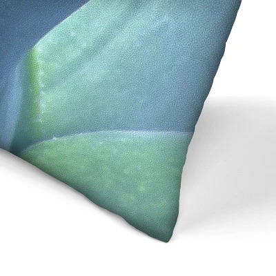 Agave Mexico By Tanya Shumkina Throw Pillow - Americanflat 1 Agave Mexico By Tanya Shumkina Throw Pillow - Americanflat