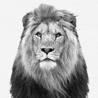 Black And White Nursery Safari - 4 Piece Framed Gallery Wall Set - Americanflat With Mat 2 Black And White Nursery Safari - 4 Piece Framed Gallery Wall Set - Americanflat With Mat - Image 2