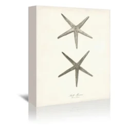 Set Of 3 Canvas Prints Costal Canvas Wall Art Set - Americanflat 10 Set Of 3 Canvas Prints Costal Canvas Wall Art Set - Americanflat -Americanflat GUEST a5542c57 22ee 43e6 a0ed d4c0d18268e0