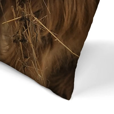 Cow Photo By Tanya Shumkina Throw Pillow - Americanflat 1 Cow Photo By Tanya Shumkina Throw Pillow - Americanflat