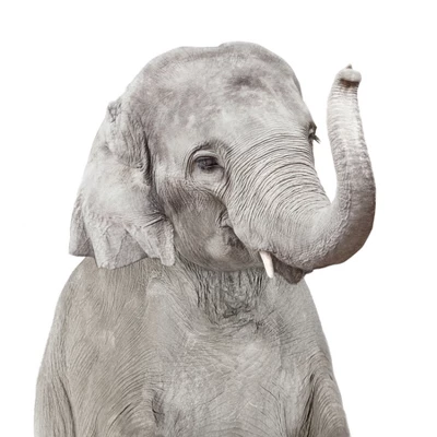 Americanflat Nursery Baby Animals - 8 Piece Square Framed With Mat Gallery Wall Set 5 Americanflat Nursery Baby Animals - 8 Piece Square Framed With Mat Gallery Wall Set - Image 5