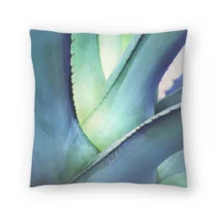 Agave Mexico By Tanya Shumkina Throw Pillow - Americanflat 9 Agave Mexico By Tanya Shumkina Throw Pillow - Americanflat -Americanflat GUEST bbdbd526 6d1d 4691 8984 bddddb380e83