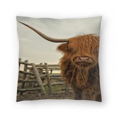 Cow Photo By Tanya Shumkina Throw Pillow - Americanflat 5 Cow Photo By Tanya Shumkina Throw Pillow - Americanflat - Image 5