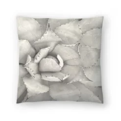 Succulent Plant Sepia By Tanya Shumkina Throw Pillow - Americanflat 12 Succulent Plant Sepia By Tanya Shumkina Throw Pillow - Americanflat -Americanflat GUEST cd36316d a9ea 463b b59a f78ba6e600cb