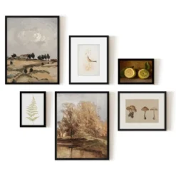 Americanflat 6 Piece Vintage Gallery Wall Art Set - Fall Study, Autumn In The Hills, Mushrooms, Light Bird, Fern Frond By Maple + Oak 9 Americanflat 6 Piece Vintage Gallery Wall Art Set - Fall Study, Autumn In The Hills, Mushrooms, Light Bird, Fern Frond By Maple + Oak -Americanflat GUEST ceeed54b 5481 4731 a63f 59d55e596b8d