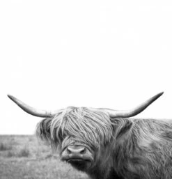 Americanflat 71" X 74" Shower Curtain By Artvir 12 Americanflat 71" X 74" Shower Curtain By Artvir -Americanflat GUEST d5972ff2 2e18 4e47 adc5 d274a13f1d0c