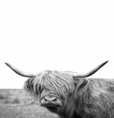 Americanflat 71" X 74" Shower Curtain By Artvir 4 Americanflat 71" X 74" Shower Curtain By Artvir - Image 4