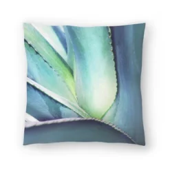 Mexico Cactus By Tanya Shumkina Throw Pillow - Americanflat 12 Mexico Cactus By Tanya Shumkina Throw Pillow - Americanflat -Americanflat GUEST d64b20cc 95f4 4e81 a3e9 36de8d50ca93