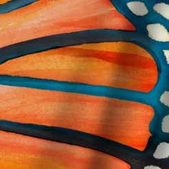 Americanflat 71" X 74" Shower Curtain, Monarch By Modern Tropical 5 Americanflat 71" X 74" Shower Curtain, Monarch By Modern Tropical -Americanflat GUEST e6efa652 c2a8 4be0 a0f7 1be9d936091d