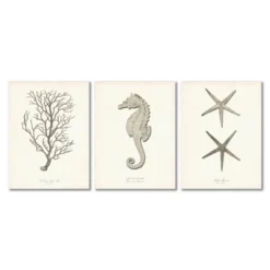 Set Of 3 Canvas Prints Costal Canvas Wall Art Set - Americanflat 12 Set Of 3 Canvas Prints Costal Canvas Wall Art Set - Americanflat -Americanflat GUEST ed5a54ba 36f5 4b25 9d35 35a72306a652