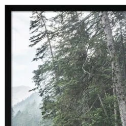 Americanflat 3 Piece 16x20 Wrapped Canvas Set - Green Forest By Artvir - Botanical Landscape Wall Art 6 Americanflat 3 Piece 16x20 Wrapped Canvas Set - Green Forest By Artvir - Botanical Landscape Wall Art -Americanflat GUEST f0934c8f b840 4e65 9c00 3b9243bae47b