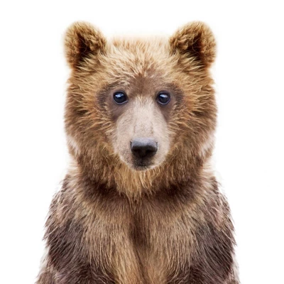 Americanflat Nursery Baby Animals - 8 Piece Square Framed With Mat Gallery Wall Set 7 Americanflat Nursery Baby Animals - 8 Piece Square Framed With Mat Gallery Wall Set - Image 7