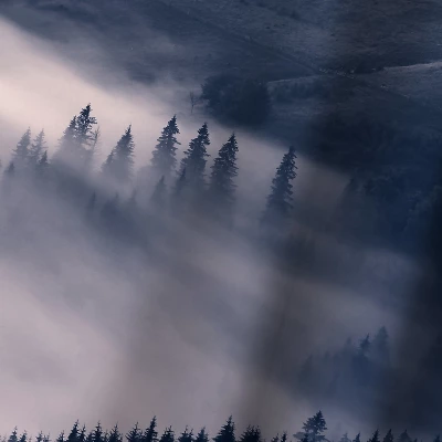 Morning Sun By Sisi And Seb Wall Tapestry 2 Morning Sun By Sisi And Seb Wall Tapestry - Image 2