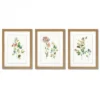 Flower Market By PI Creative Art - 3 Piece Gallery Framed Print Art Set