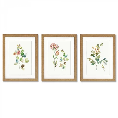 Flower Market By PI Creative Art - 3 Piece Gallery Framed Print Art Set 1 Flower Market By PI Creative Art - 3 Piece Gallery Framed Print Art Set