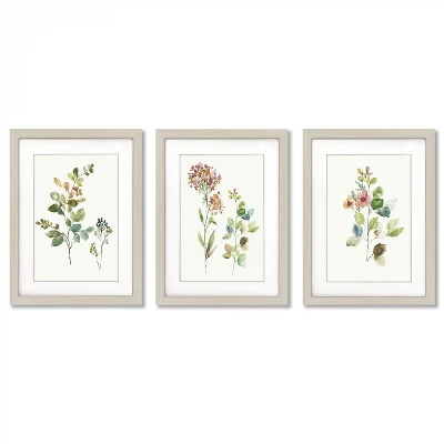 Botanical Illustrations By Asia Jensen - 3 Piece Gallery Framed Print Art Set 1 Botanical Illustrations By Asia Jensen - 3 Piece Gallery Framed Print Art Set